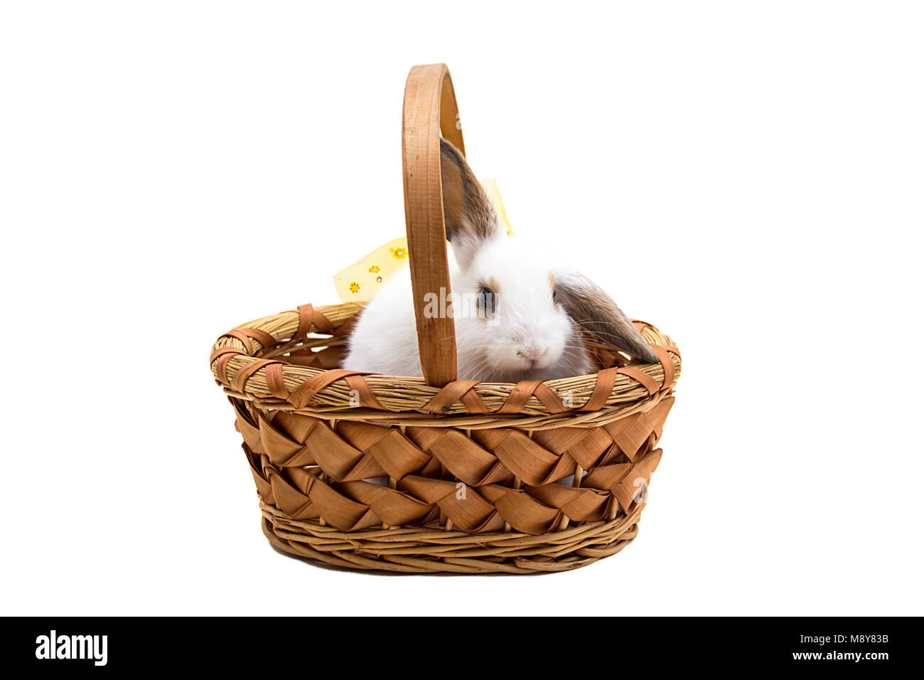 Coniglietto di pasqua nel cesto di vimini isolato su bianco Foto Stock