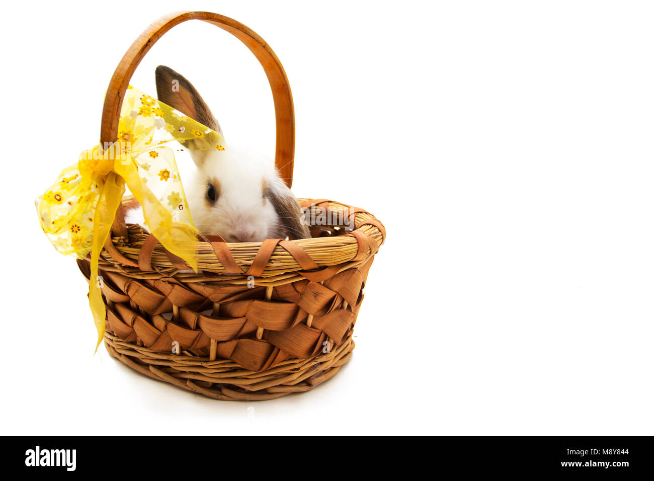 Coniglietto di pasqua nel cesto di vimini isolati su sfondo bianco. Foto Stock