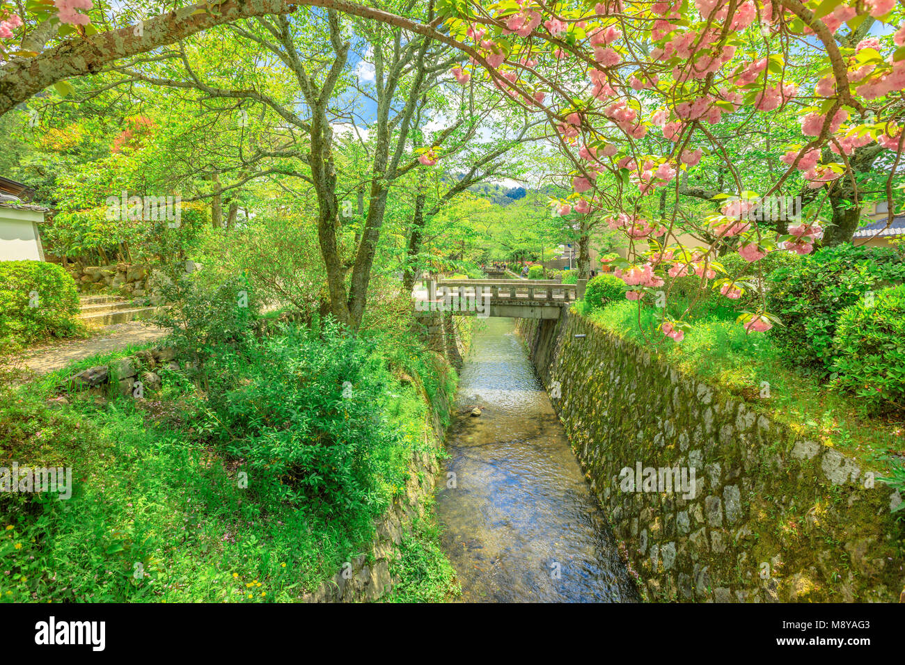 Paesaggio panoramico del filosofo a piedi anche chiamato Tetsugaku-no-michi, un percorso pedonale che segue una ciliegia-viale alberato di canal a Kyoto, Higashiyama district, Giappone. Foto Stock