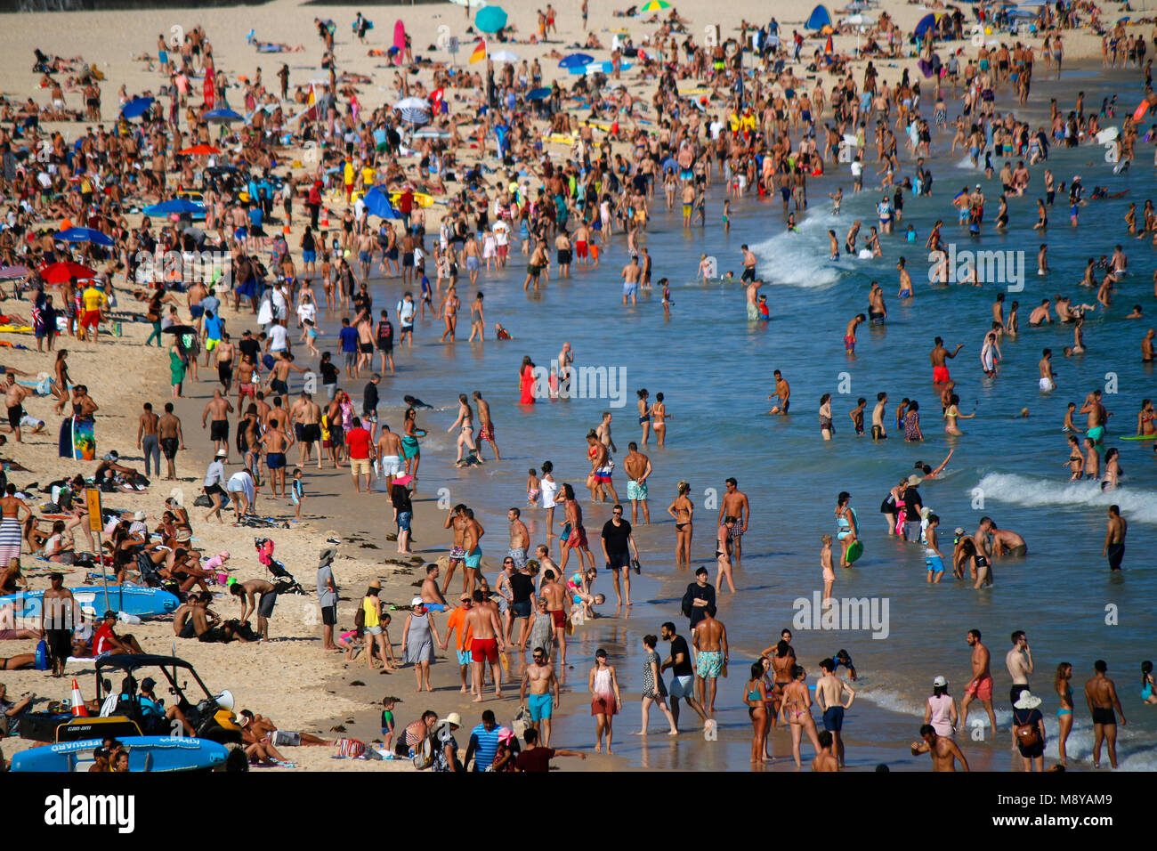 Dicembre 30, 2017: temperature oltre i 35 gradi Celsius tirare di masse di persone per la città affollate spiagge di Sydney, qui la spiaggia di Bondi, Sydney, Austral Foto Stock