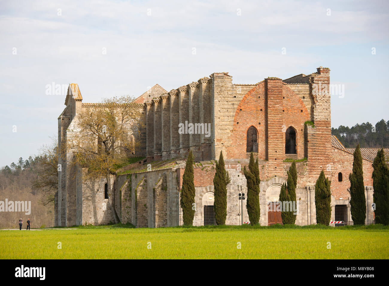 Abbazia di San Galgano, Siena, Toscana, Italia, Europa Foto Stock