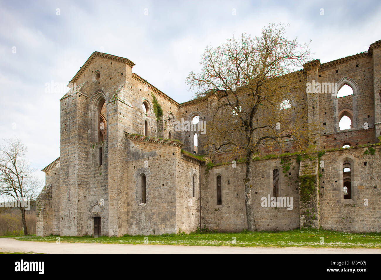 Abbazia di San Galgano, Siena, Toscana, Italia, Europa Foto Stock