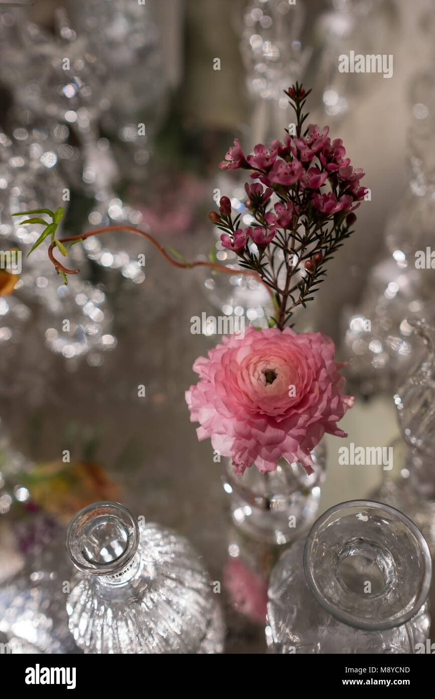 Tabella decorata con rosa fiore di rosmarino e garofano in vetro vasi di cristallo Foto Stock