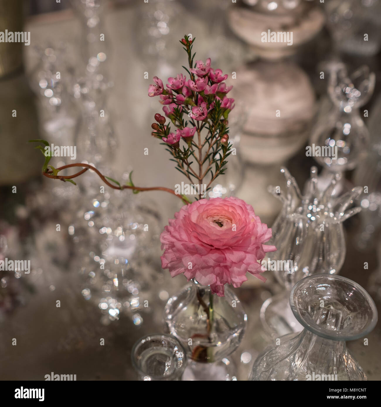 Tabella decorata con rosa fiore di rosmarino e garofano in vetro vasi di cristallo Foto Stock