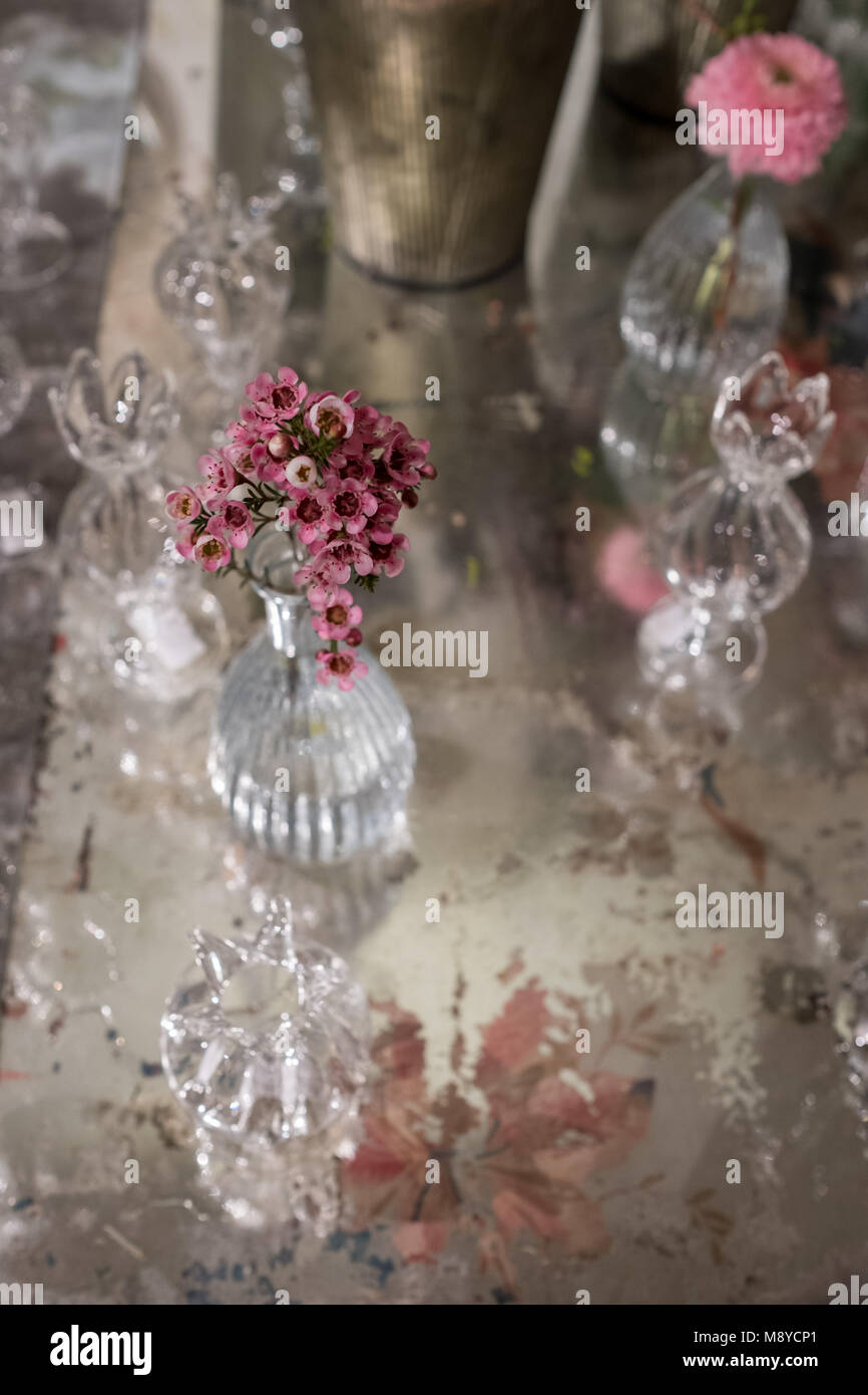 Tabella decorata con rosa fiore di rosmarino e garofano in vetro vasi di cristallo Foto Stock