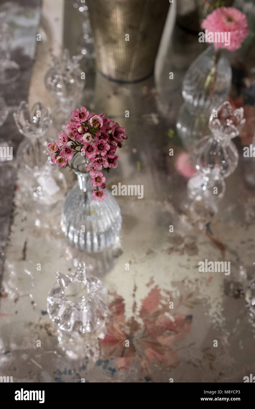 Tabella decorata con rosa fiore di rosmarino e garofano in vetro vasi di cristallo Foto Stock