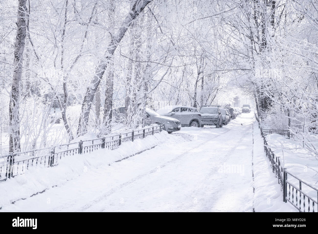 Winter City scena. Il bianco della neve-cortile coperto con le automobili e strada vuota. Tasto alto Foto Stock