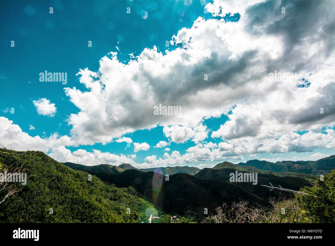 La catena montuosa centrale in Puerto Rico. Foto Stock