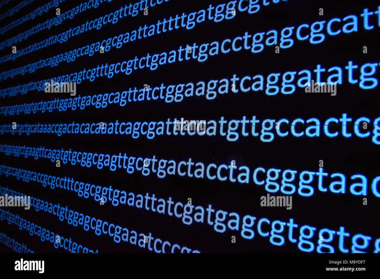 Il sequenziamento del genoma. La decifrazione del codice del DNA, scrivere la sequenza di basi nucleotidiche. Foto Stock