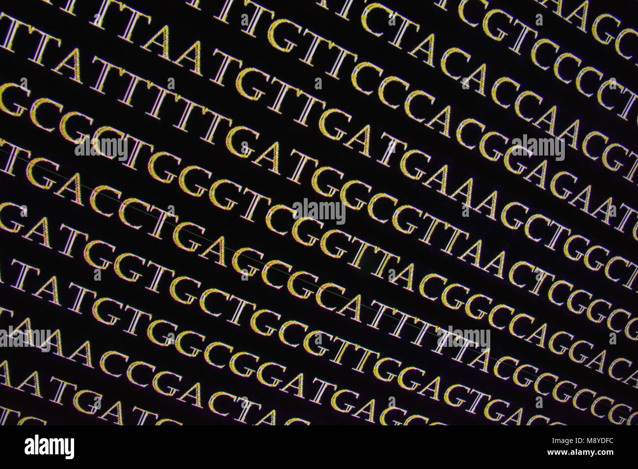 Il sequenziamento del genoma. La decifrazione del codice del DNA, scrivere la sequenza di basi nucleotidiche. Foto Stock
