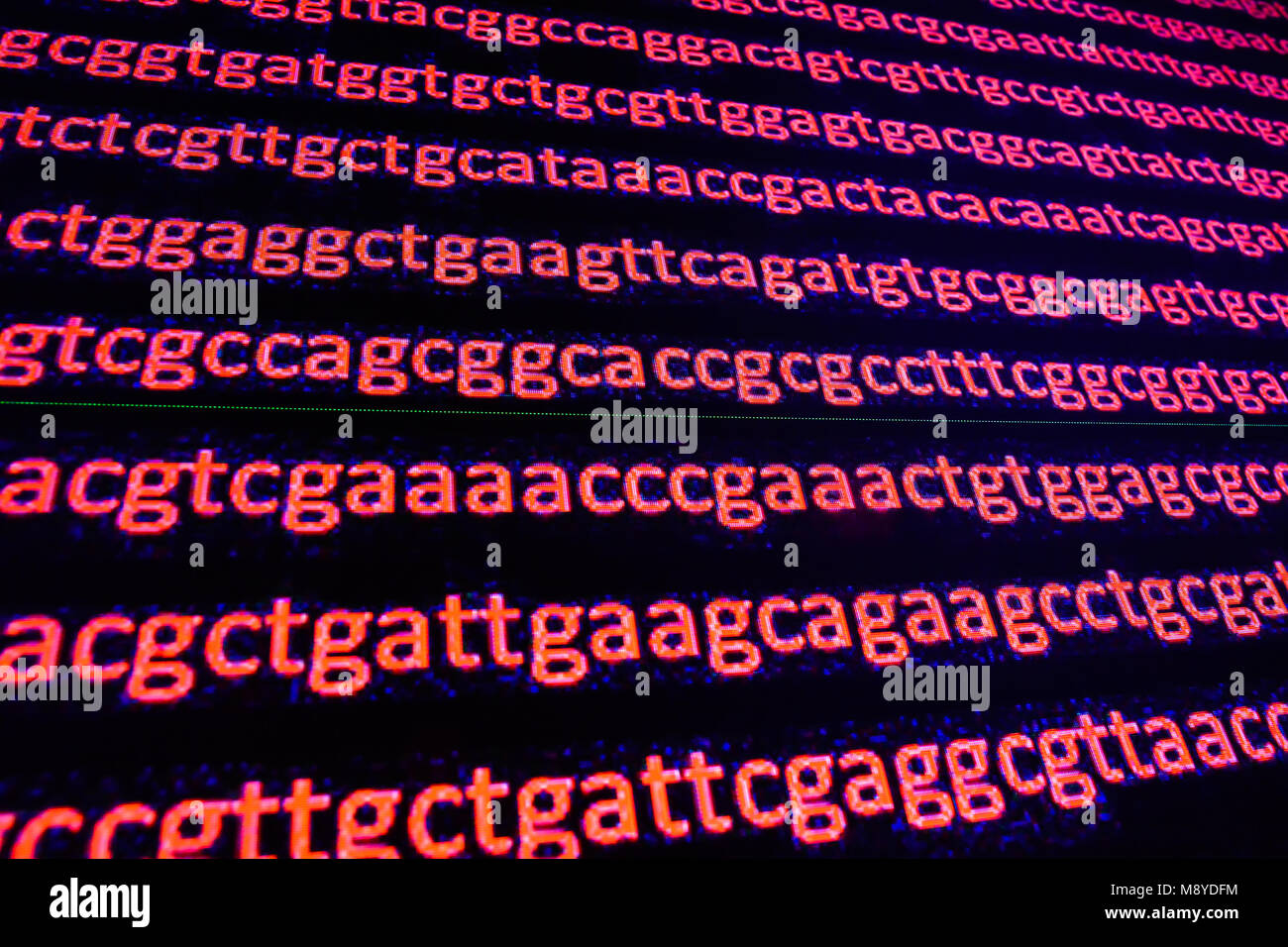 Il sequenziamento del genoma. La decifrazione del codice del DNA, scrivere la sequenza di basi nucleotidiche. Foto Stock