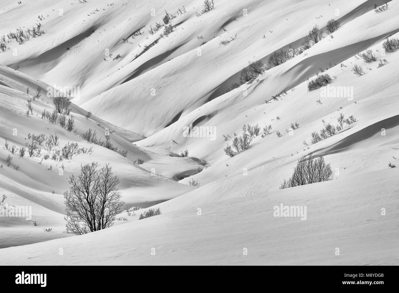 Snow blanketing il Talkeetna montagne a Hatcher Pass crea forme fluenti nel tardo inverno in Alaska centromeridionale. Foto Stock