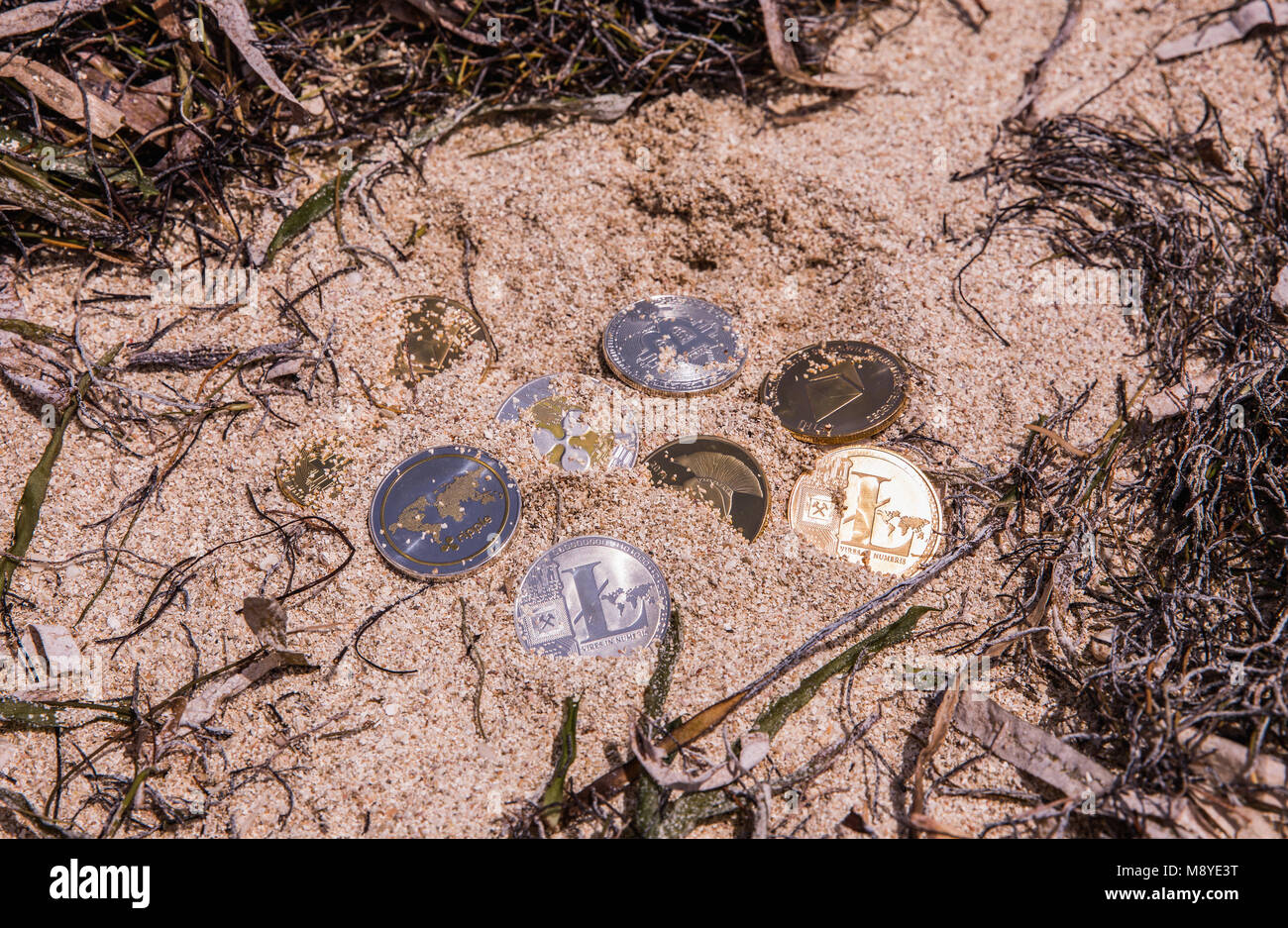 Alcuni cryptocurrencies lavato fuori del mare sulla sabbia nelle alghe marine. Bitcoin, lithcoin, ripple, ethereum Foto Stock