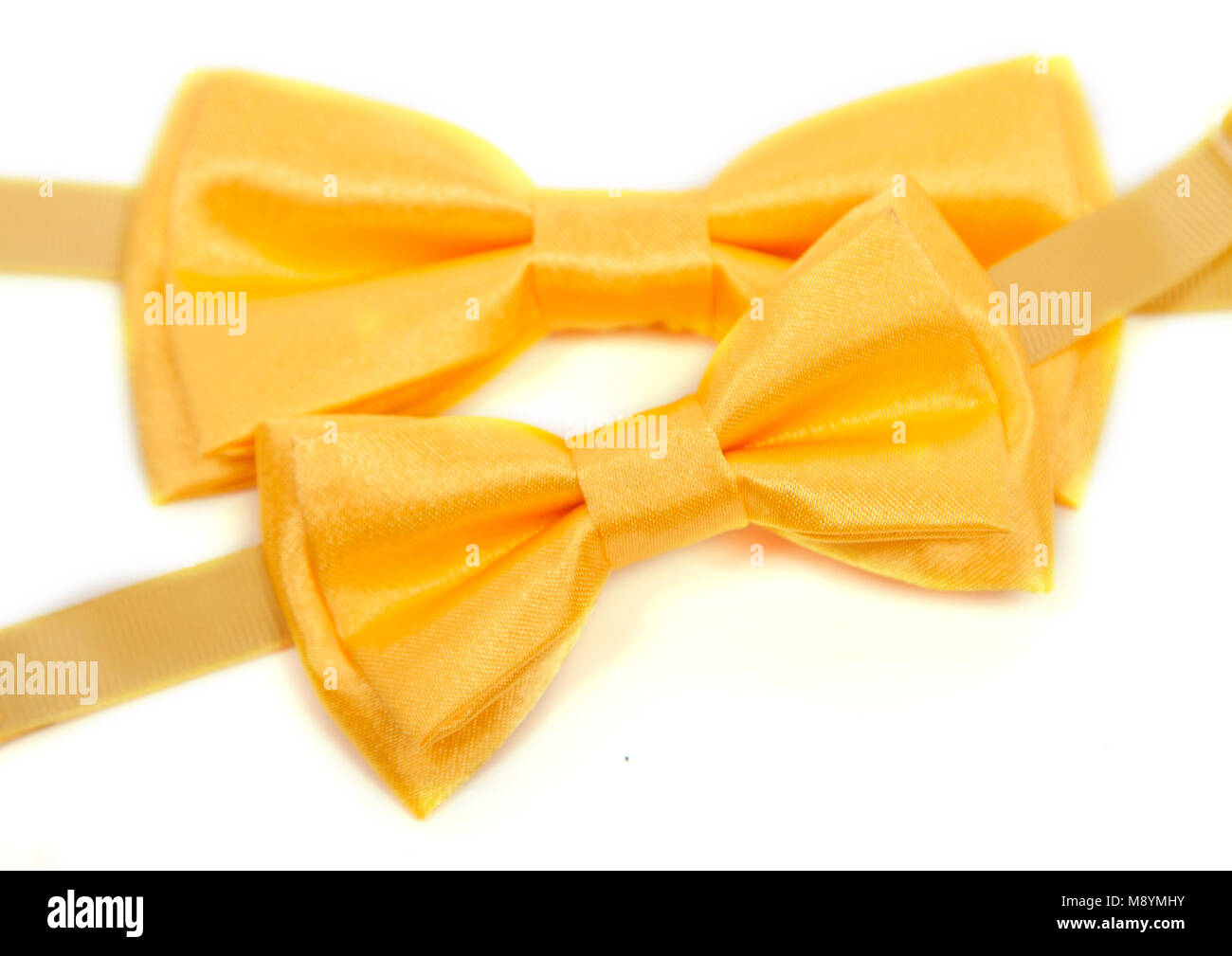 Giallo dorato satin Bow Tie per Bambini i bambini gli uomini uomo donna su sfondo bianco coppa d'oro. Foto Stock