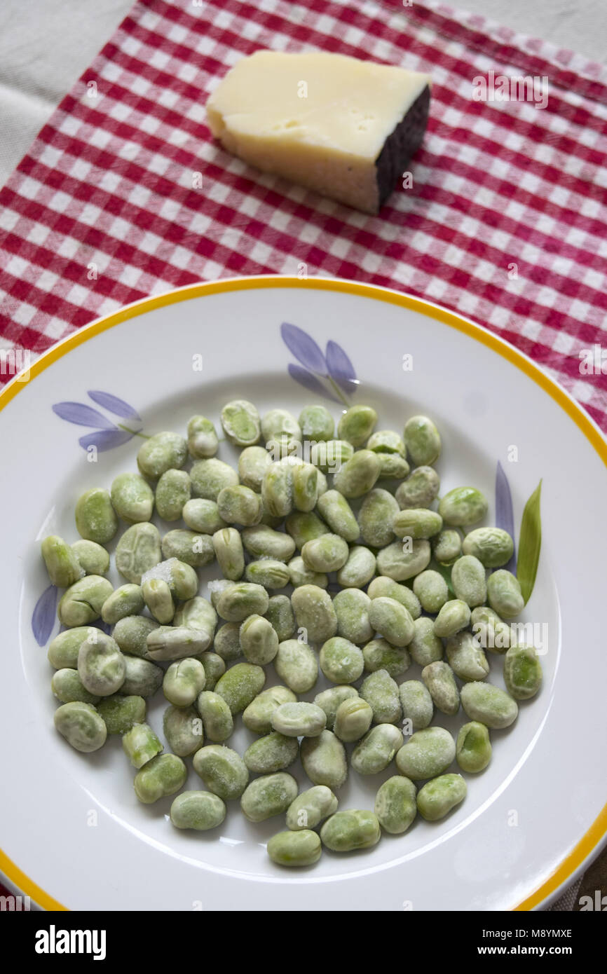 Fave e pecorino romano tradizionale pasto italiano per il primo giorno di maggio Foto Stock