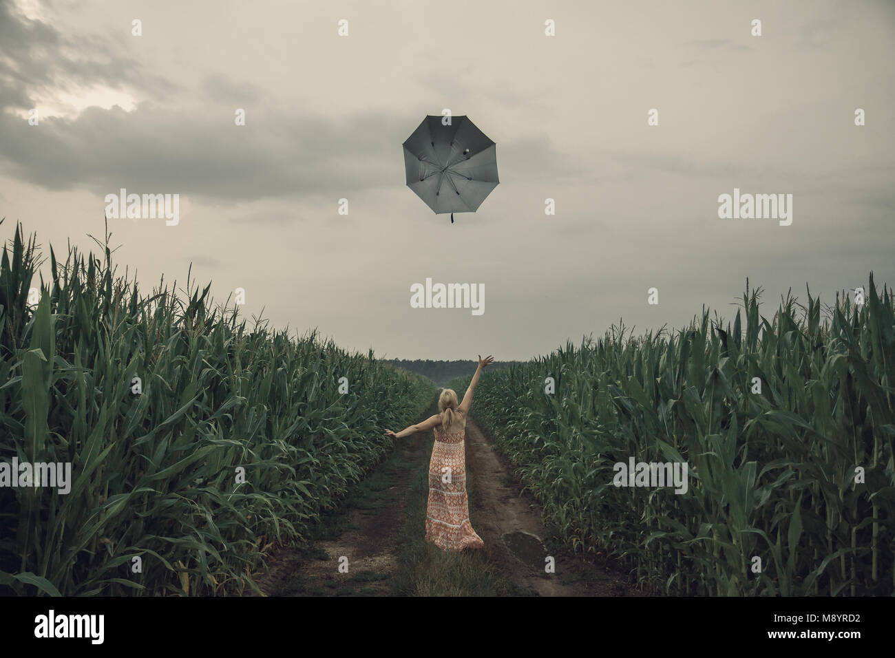 Donna bionda in abito arancione la cattura di un ombrello grigio nel campo di grano durante un nuvoloso giorno d'estate. Foto Stock