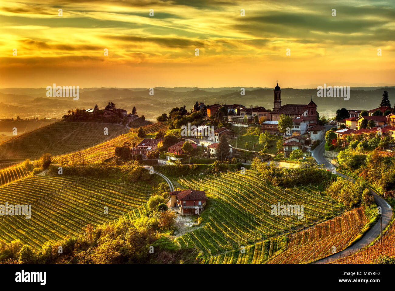 La terra dei vini - Treiso il paese di Treiso, nelle Langhe (Piemonte, Italia), la limitata zona di produzione del prestigioso vino Barbaresco. Foto Stock