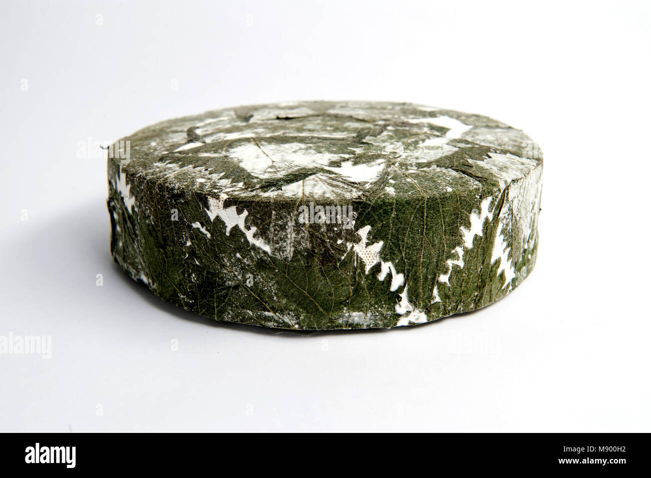 Cornish Yarg formaggio avvolto in ortiche Foto Stock