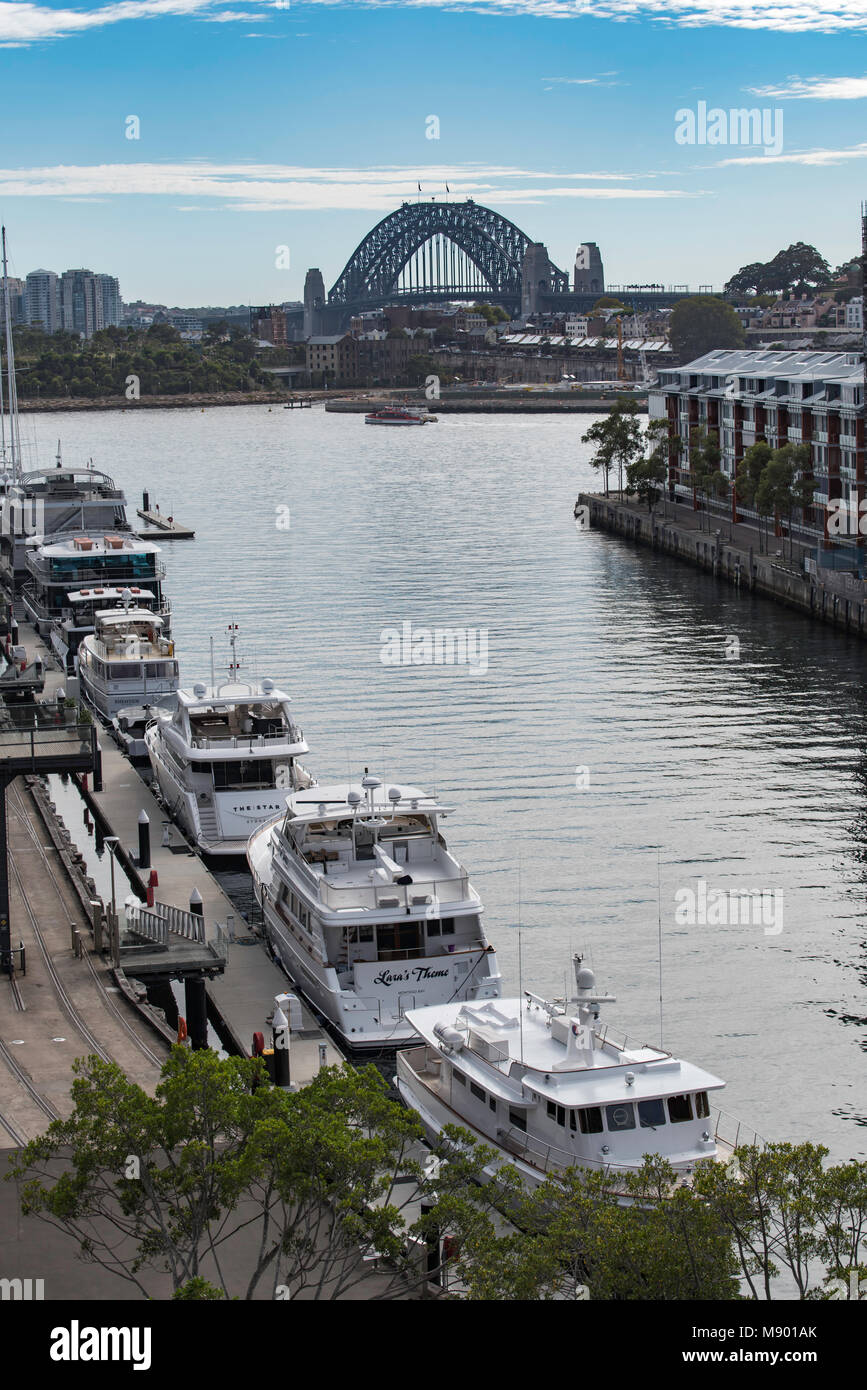 Crociera nel Porto barche parcheggiato a Jones Bay Wharf in Pyrmont, Sydney. Queste imbarcazioni sono utilizzati per il giorno e la notte le crociere sul Porto di Sydney Foto Stock
