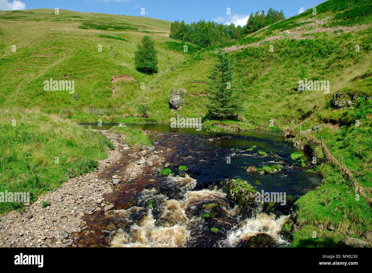 Fiume Coquet, Coquetdale, Northumberland Foto Stock