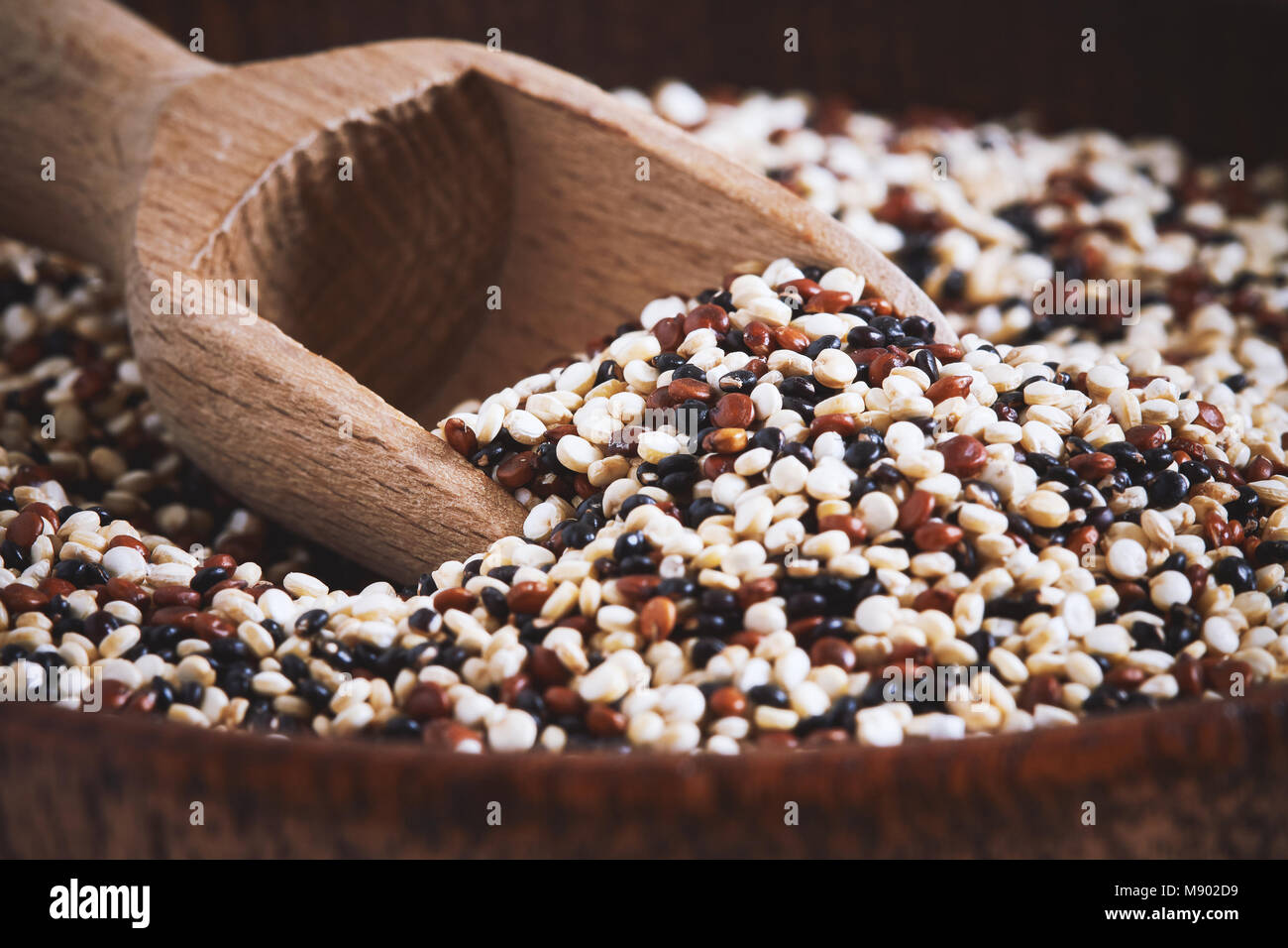 Materie miste di quinoa (Chenopodium quinoa). Rosso, bianco e nero semi con cucchiaio in legno Foto Stock