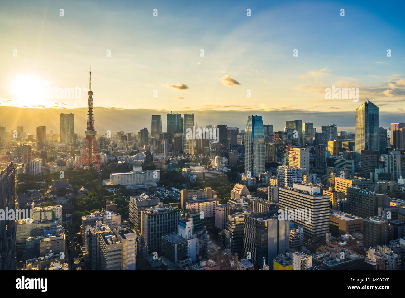 Vista aerea della città di Tokyo, Giappone Foto Stock