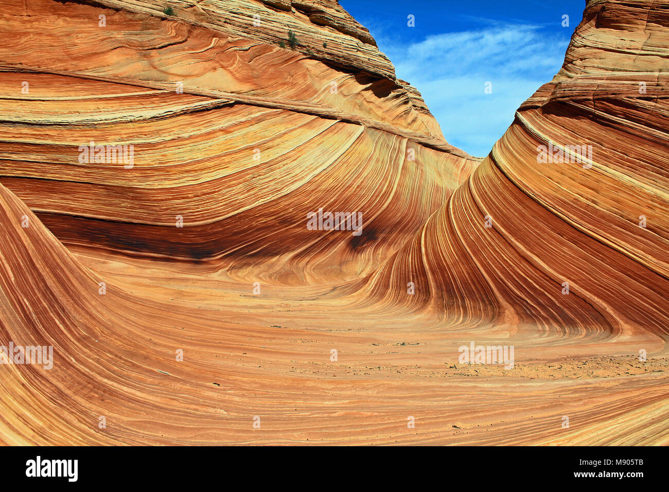 L'onda - Coyote Butte Nord, Arizona Foto Stock