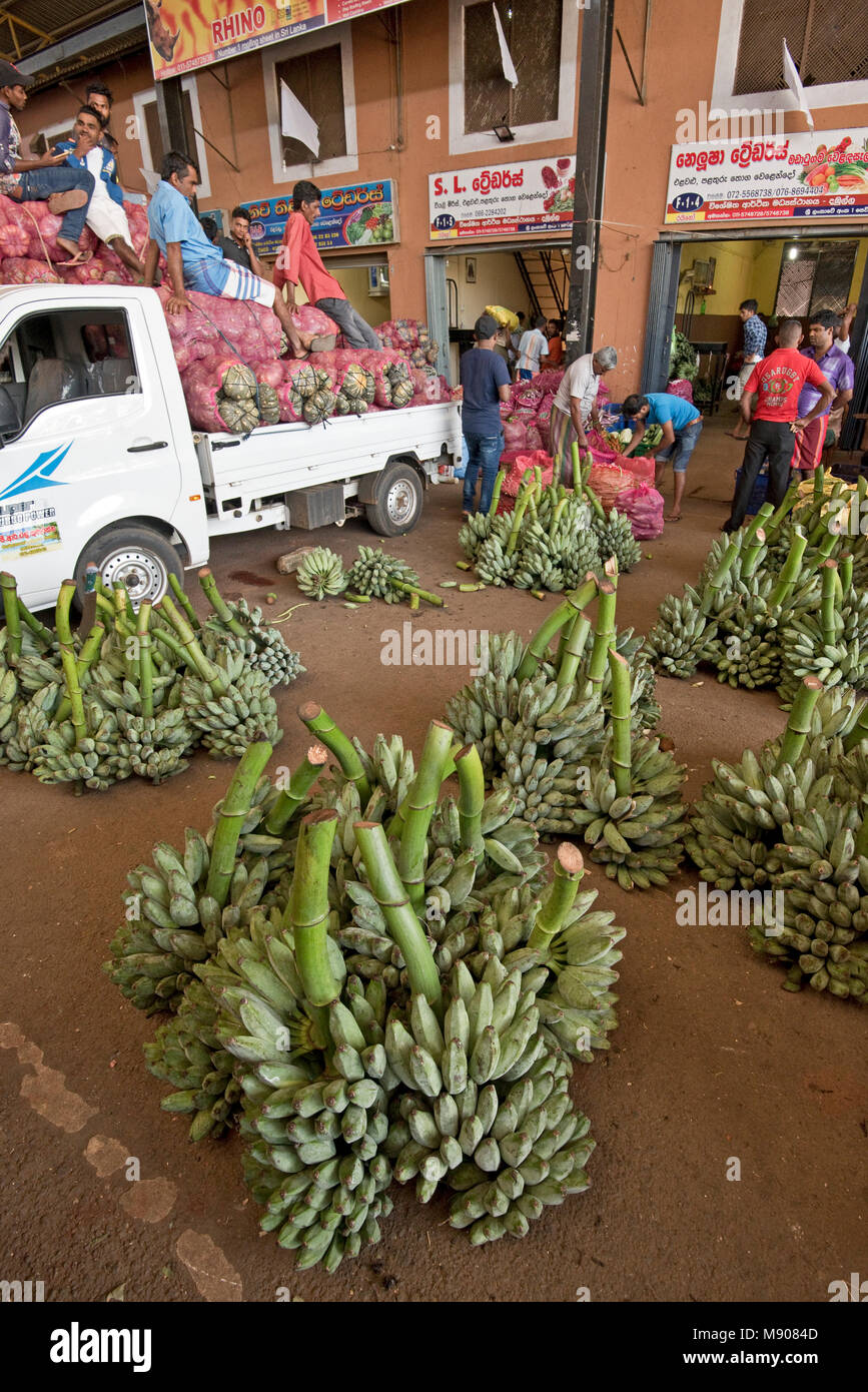 Una vista dentro il più grande di frutta e verdura del mercato all'ingrosso in Sri Lanka a Dambulla aka Dambulla dedicato centro economico. Foto Stock