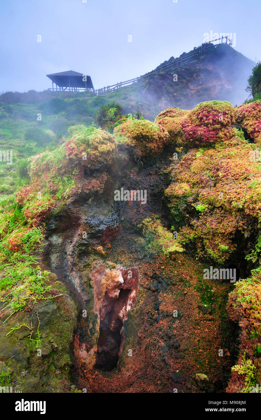 Furnas do Enxofre, un sito protetto con attività vulcanica. Terceira, isole Azzorre, Portogallo Foto Stock