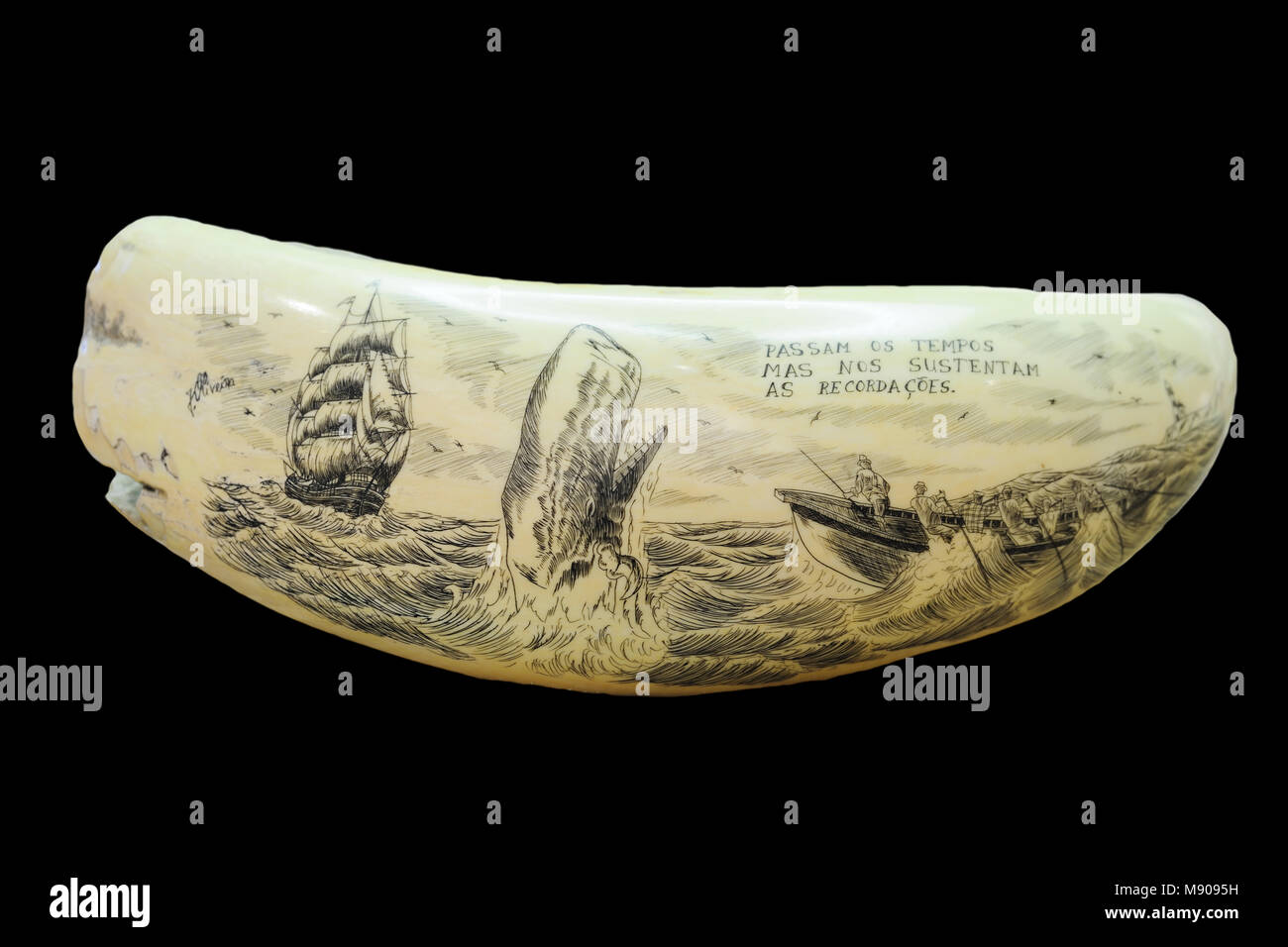 Scrimshaw (capodoglio dente) incisione di Machado Oliveira. Il Museu dos (Baleeiros Whalers museo), Lages do Pico, Pico. Isole Azzorre, Portogallo Foto Stock