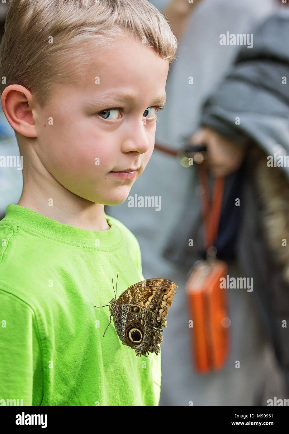 Butterfly su un ragazzo Foto Stock