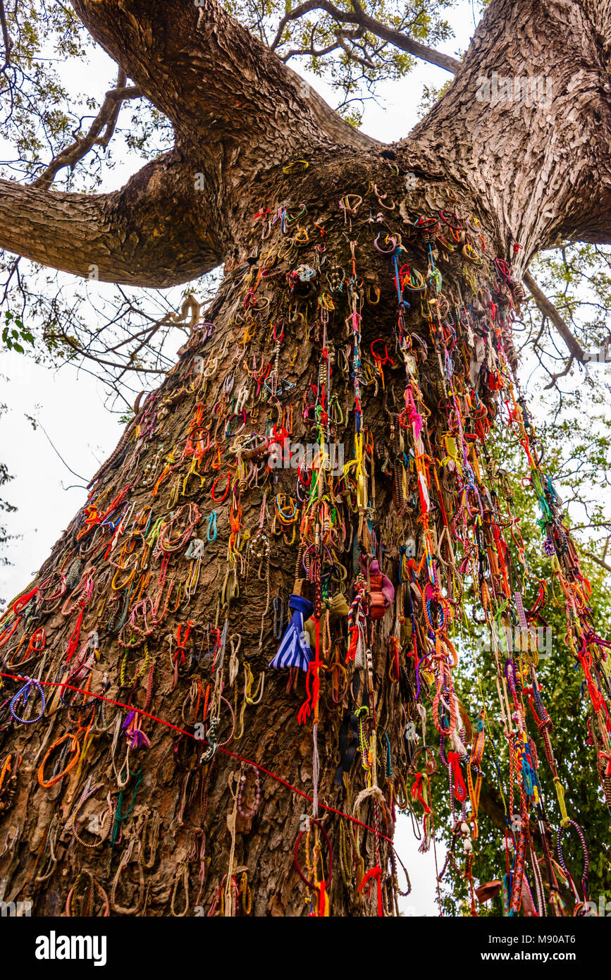 Braccialetti colorati a sinistra dai visitatori in corrispondenza di un albero utilizzato dal Khymer Rouge al club i neonati e i bambini a morte, Choeung Ek Killing Fields genocidio centro, Phnom Penh, Cambogia, sito in cui decine di migliaia di persone in Cambogia sono stati uccisi dalla Khymer Rouge sotto gli ordini di Pol Pot da 1975-1979. Foto Stock