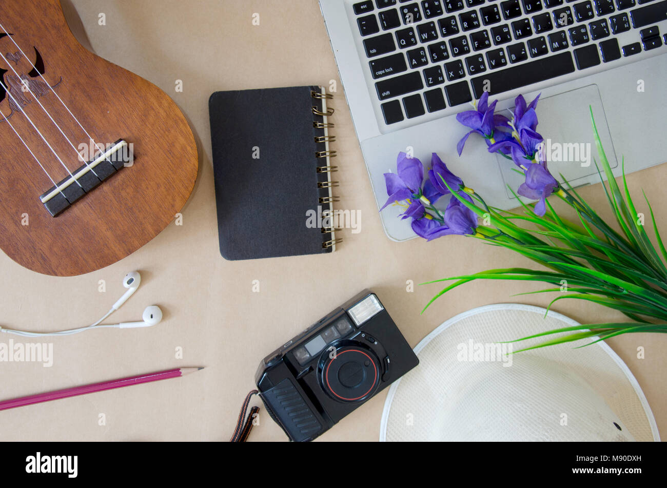 Computer portatili e videocamere ukulele e fiori viola Foto Stock