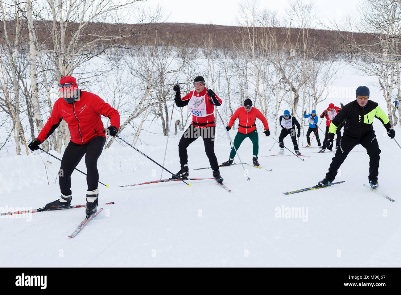 Penisola di Kamchatka: gli sciatori in esecuzione sulla pista di sci cross-country foresta d'inverno. Massa All-Russia gara di sci - pista di sci della Russia. Foto Stock