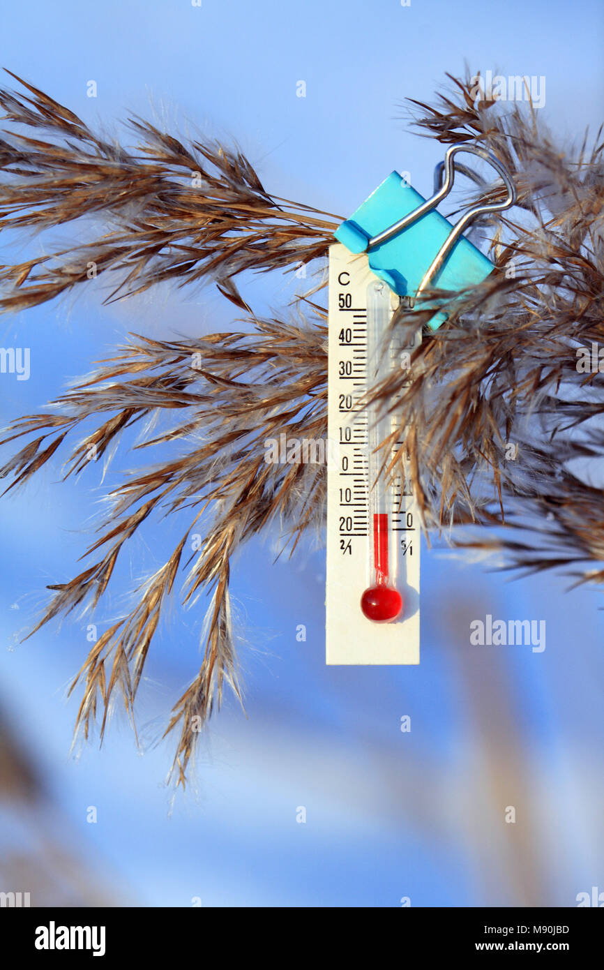 Il vetro della lampadina termometro appeso con fermaglio su sfondo inverno Foto Stock
