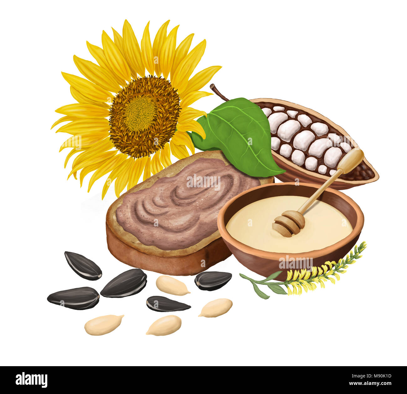 Semi di girasole, di pane con impasto di cioccolato e cacao, miele e olio di semi di girasole. Isolato su bianco. Illustrazione raster Foto Stock