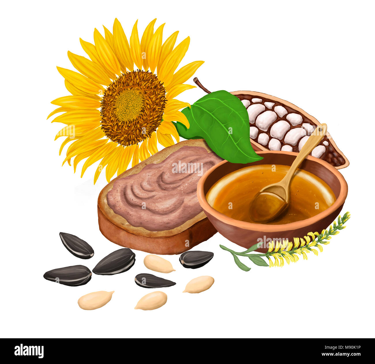 Semi di girasole, di pane con impasto di cioccolato e cacao, miele e olio di semi di girasole. Isolato su bianco. Illustrazione raster Foto Stock