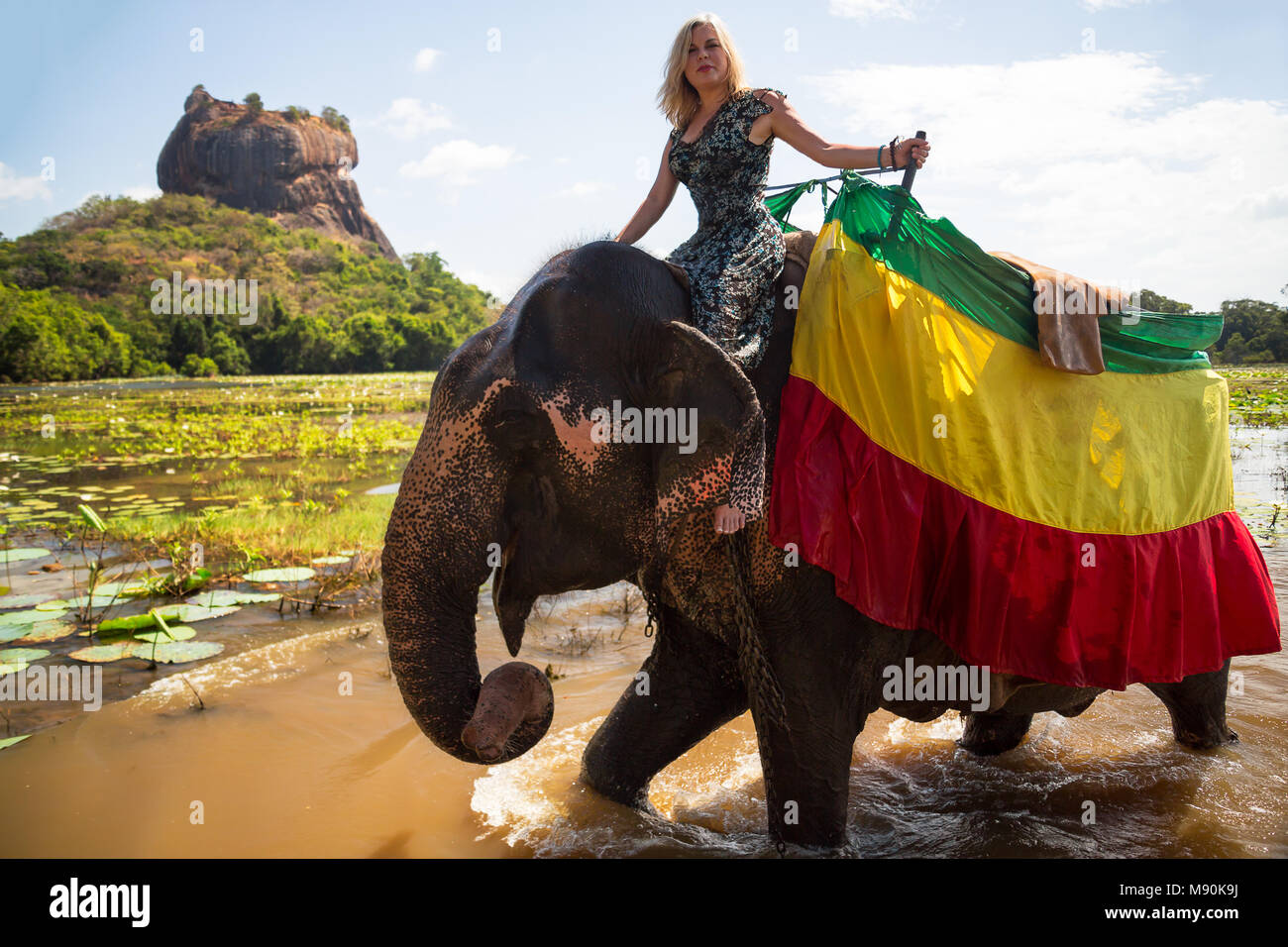 Sri lanka elephant ride immagini e fotografie stock ad alta risoluzione -  Alamy