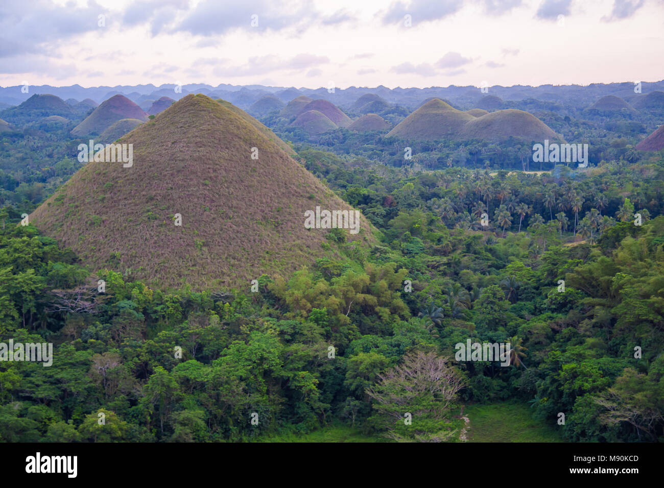Le colline di cioccolato sono una formazione geologica nella Provincia di Bohol sparsi per la città di Sagbayan, Carmen e Batuan nelle Filippine. Vi Foto Stock