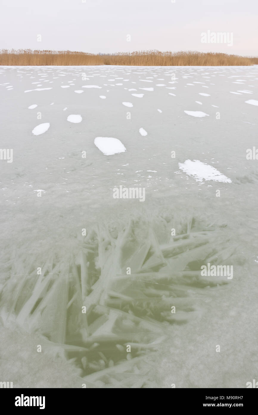 Congelati lago Neusiedlersee con reed in opaco e freddo inverno. Aree innevate formando strutture regolari e disegni sulla superficie del ghiaccio. Foto Stock