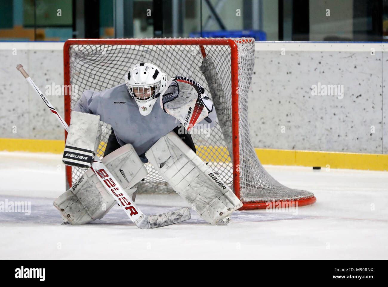 Hockey su ghiaccio. Il portiere Foto stock - Alamy