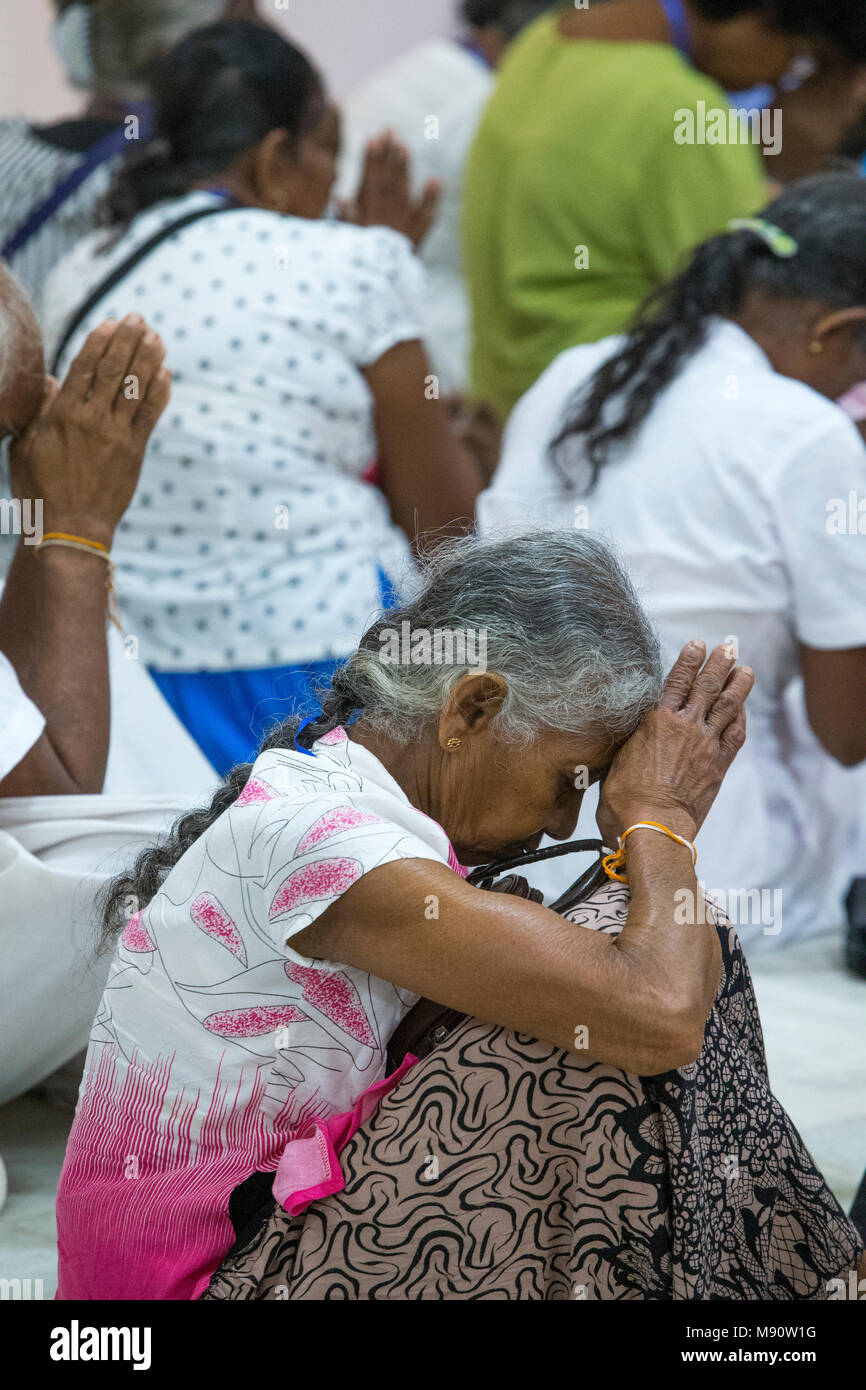 Museo Nazionale dell'India, New Delhi. Visitatori buddisti pregano. India. Foto Stock
