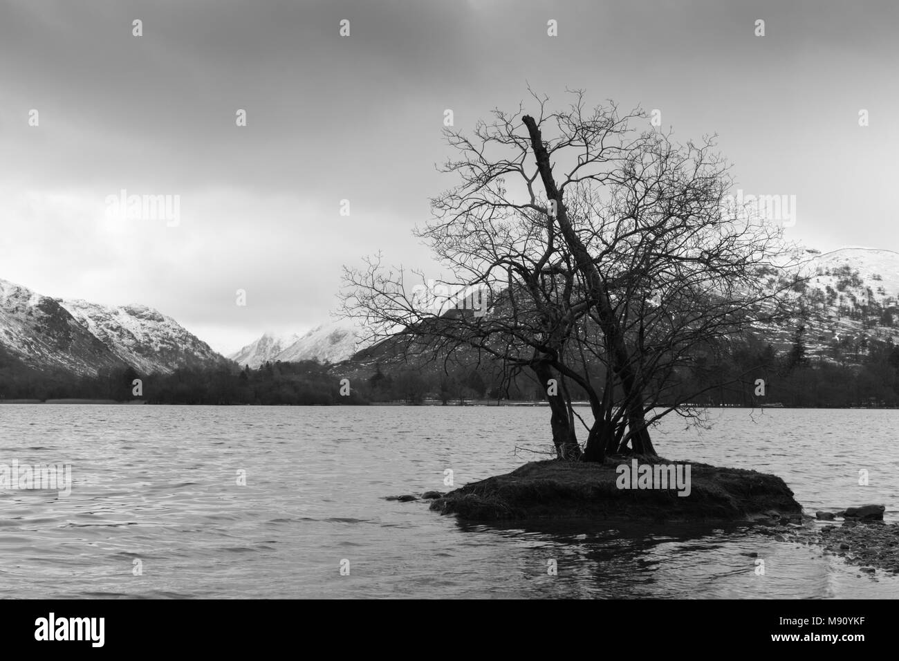 Un albero su una piccola isola a Ullswater, Lake District, Cumbria. Coperta di neve fells e colline sono in background e il cielo è nuvoloso. Foto Stock