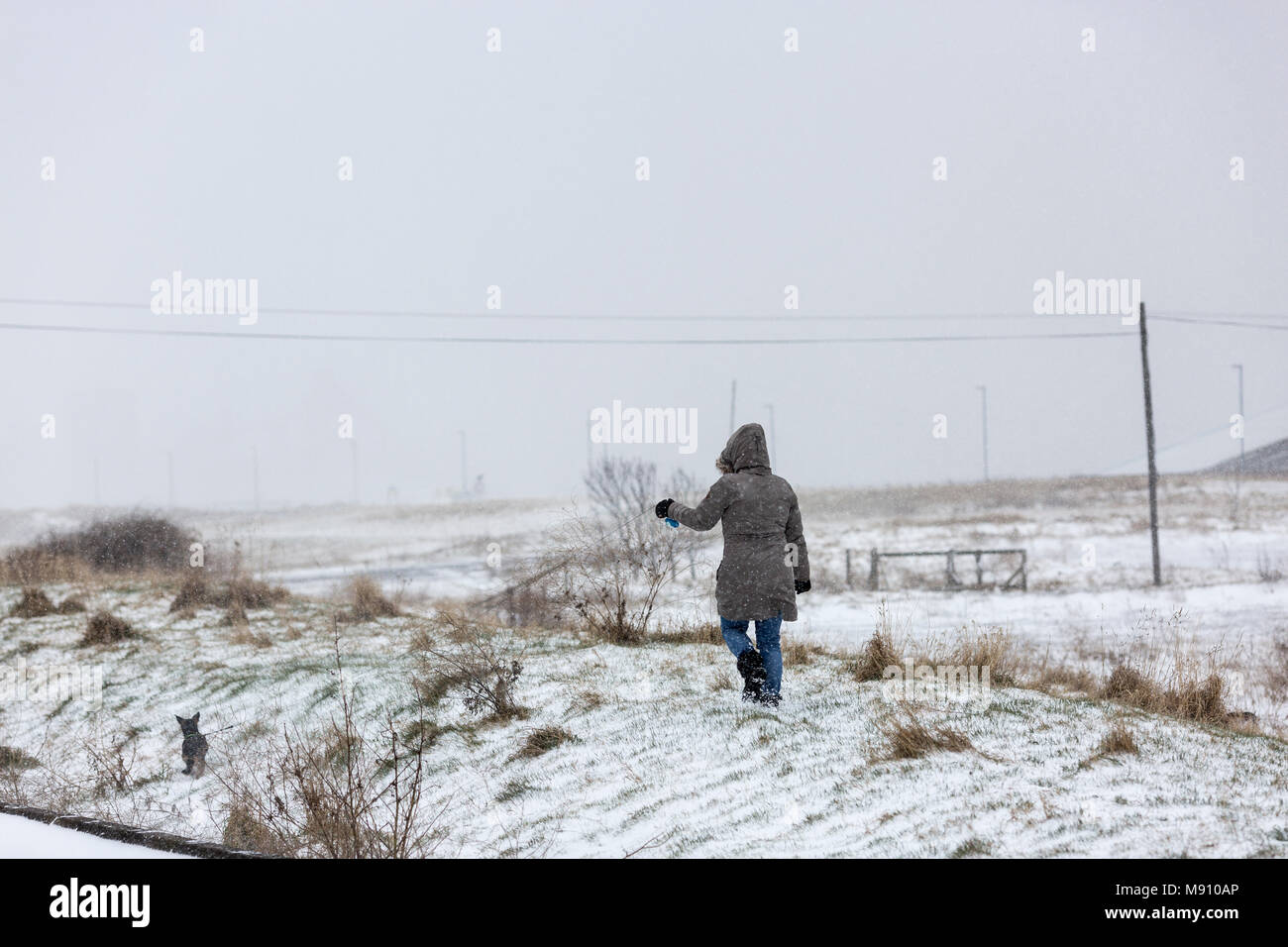 Redcar , North Yorkshire , Inghilterra.Una donna wlaks il suo cane nella neve Foto Stock