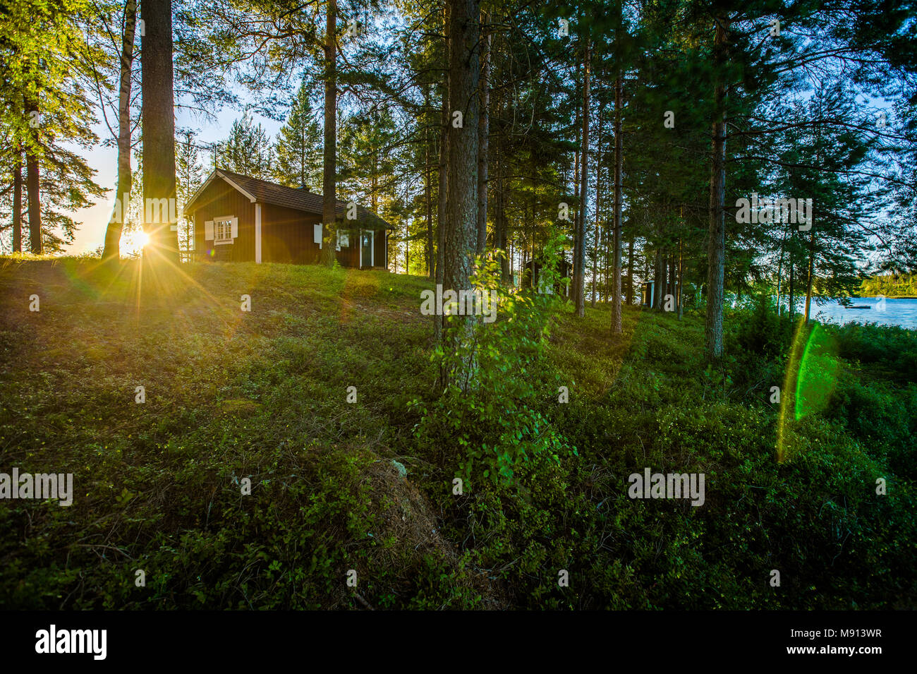 Cabina nei boschi vicino al lago, Svezia 2016 Foto Stock