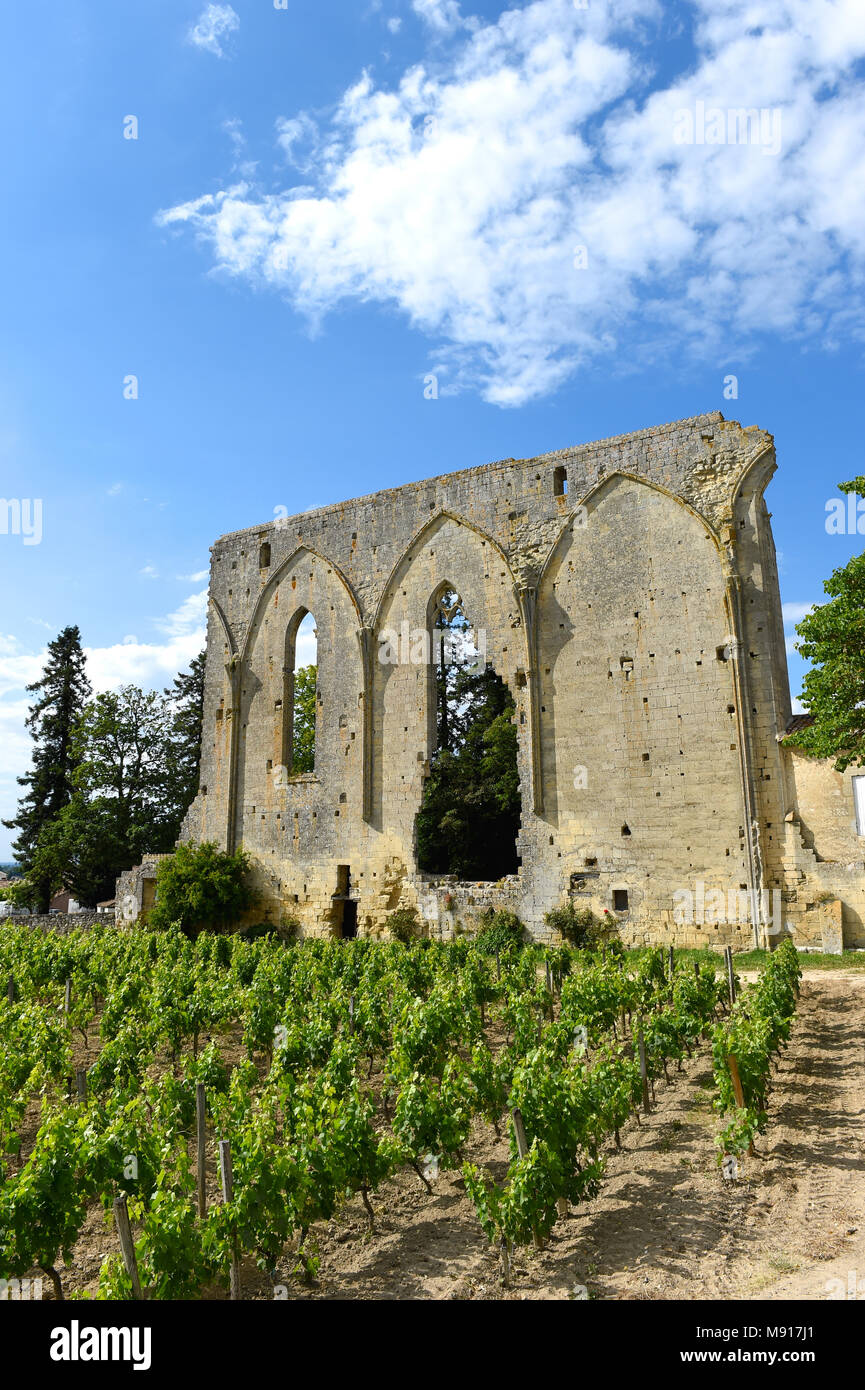 Le rovine di Saint-Emilion-Vigneto Foto Stock