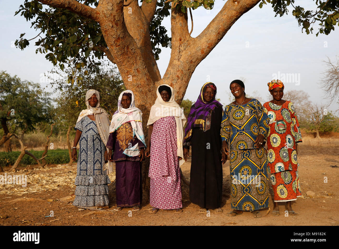 UBTEC ONG in un villaggio nei pressi di Ouahigouya, in Burkina Faso. I membri di una cooperativa di microfinanza. Foto Stock