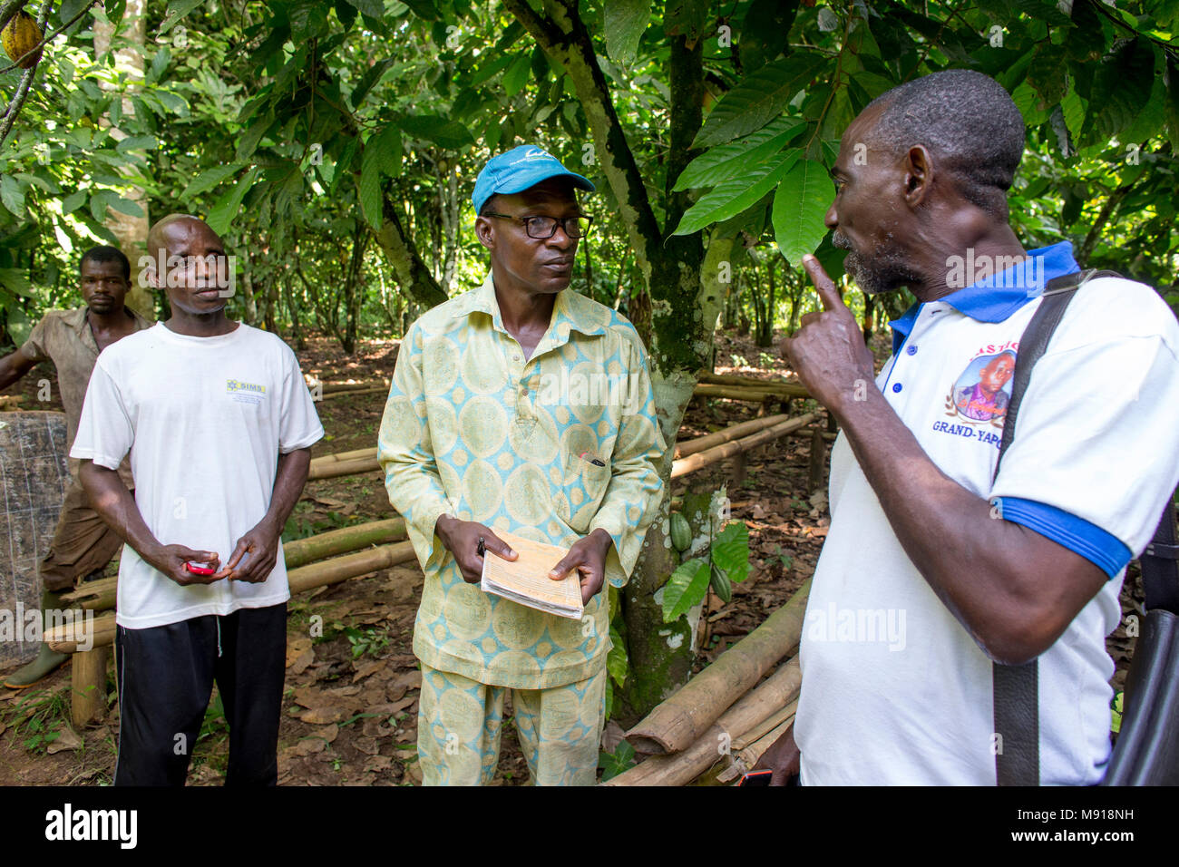 La Costa d Avorio. Produttori di cacao' i membri della cooperativa. Foto Stock