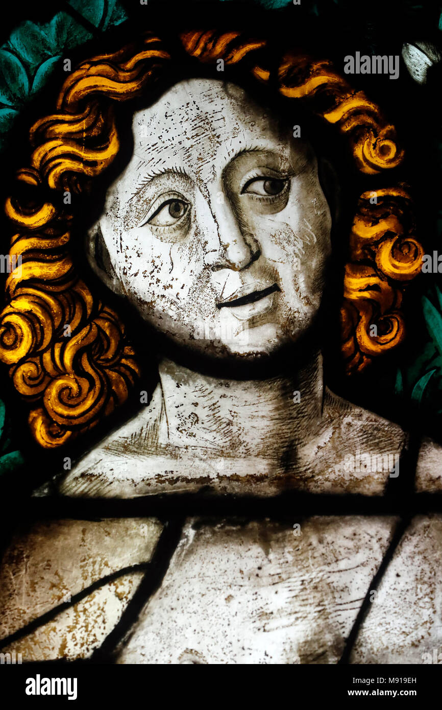 Oeuvre Notre Dame museo. Finestra di vetro colorato. Adam nel giardino del paradiso. Xv secolo. Strasburgo. La Francia. Foto Stock