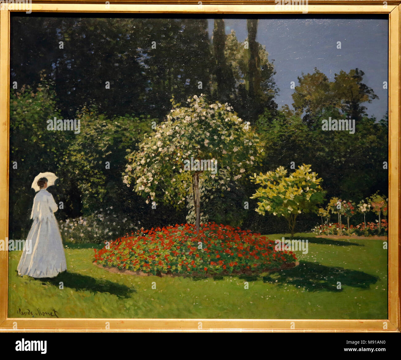 Claude Monet, donna nel giardino, (Sainte-Adresse) 1867, olio su tela. Schukin raccolta, Museo Ermitage di San Pietroburgo. Shot mentre mostrava in Foto Stock